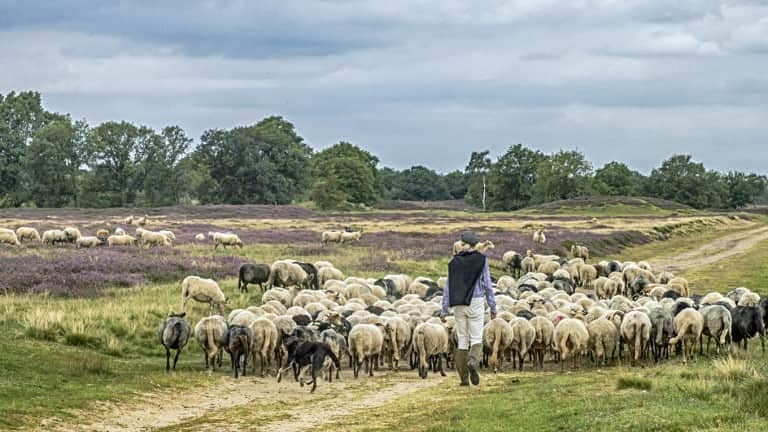 135965_c5837c73875e889e5ffaebbe2aa995f9