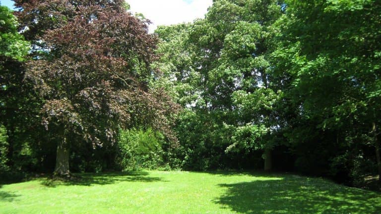 16102_24adb4a131f8ca942279395a2c36283d