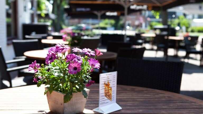 16716_fc0b518ee5db73c048700da83972ee88