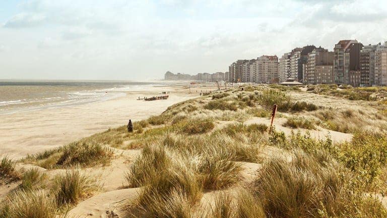 173876_cd67930f6ab7c1f8607bd3405d28c92d