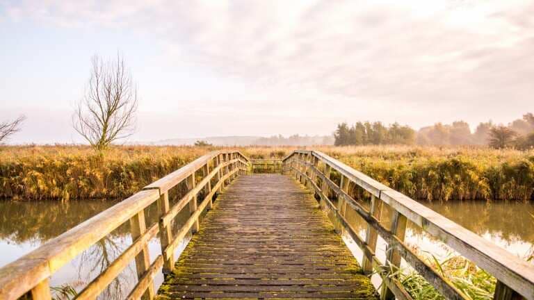 194915_2f48e9f1bdfcd9b4128c44fa9f56d286