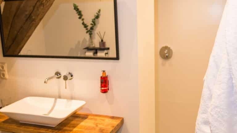 232111_badkamer-cath-gelrekopie