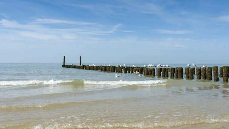 23915_554cc5603b48125685536bfd8ed7e460