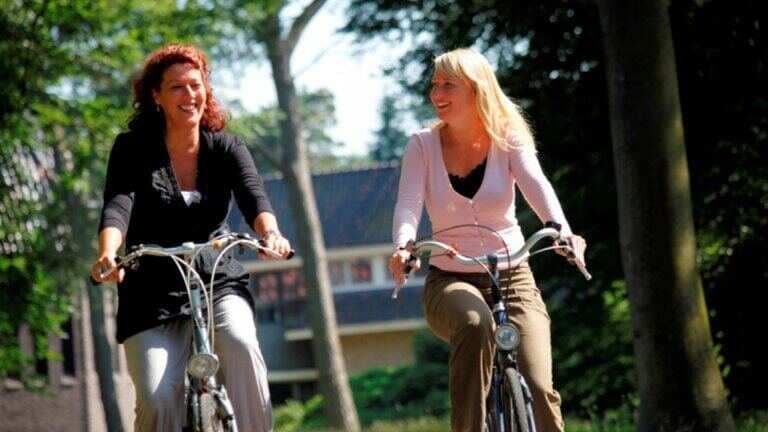 41650_5caf9e9eedda9a6eaf179e77cc64ff89