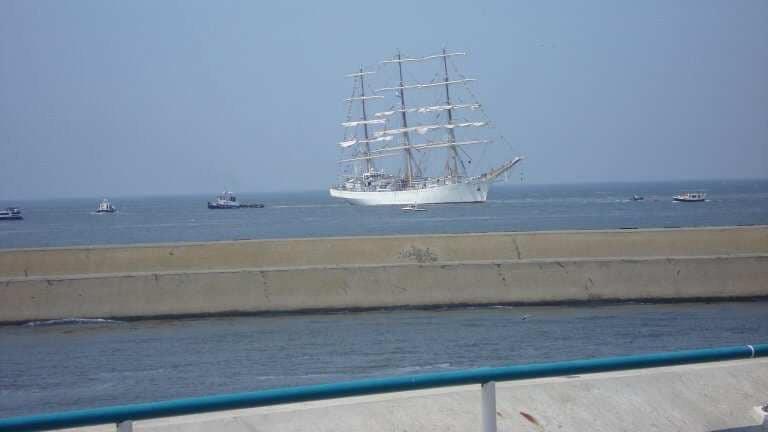 50790_0e44f29d4db44448e5ef45dd2904c678