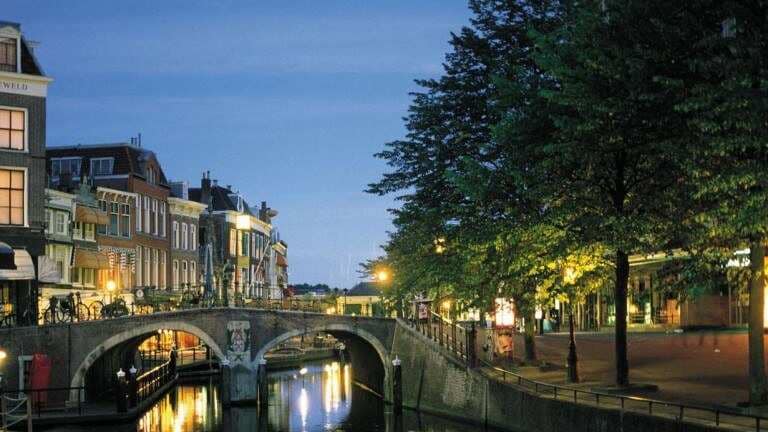 5167_53a2b5a7dd21a1756174c304df3bc33e