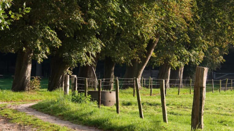 6371_1864e2baa8068f27af934250e2e5b97b