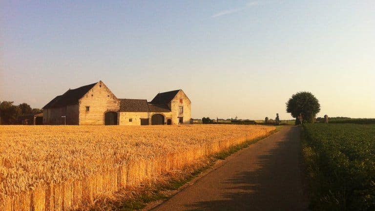 69718_919fc620b641eb1e9ba32c2565467daf