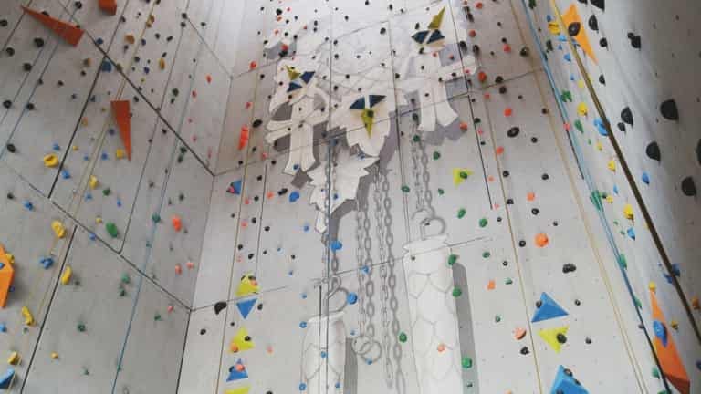 96948_893d628cbe248439c42b12abb647436c