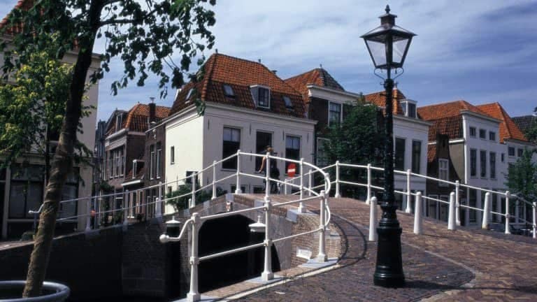 9732_1ef76f1c38824bcad77dc25288d262f8