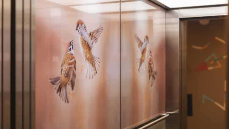 179347_d286dd17c2dc7abae02b6bb6b9d96077