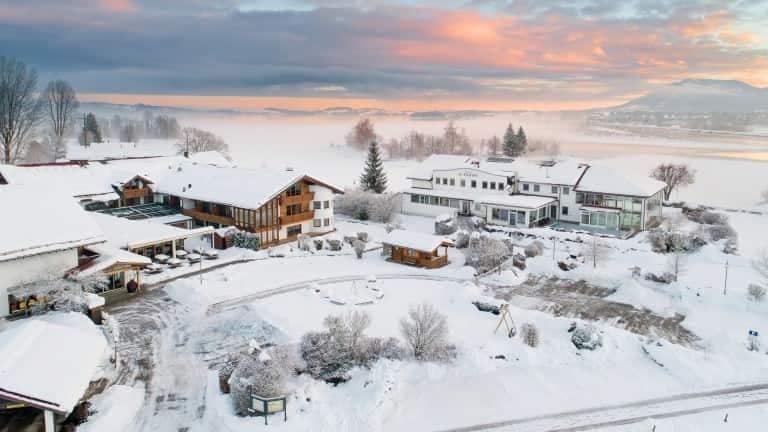 248559_001-fotostudiorene-bear