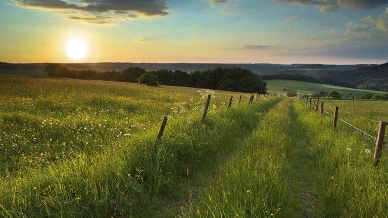 28134_747ef050cff221fd2cf9789227c99dc1