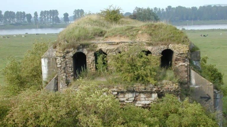 26811_cfa2435eed0b5910e808ab4d5b62292c