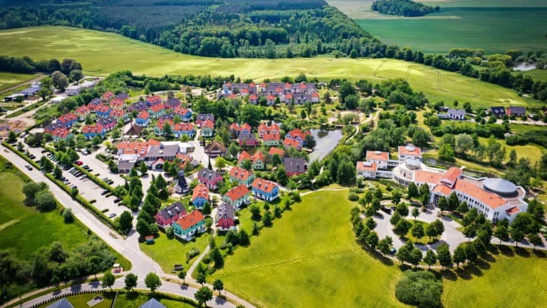 272180_beech-von-oben