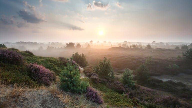 47118_b52fc6a3d823e1f2f35aadbf723a3756