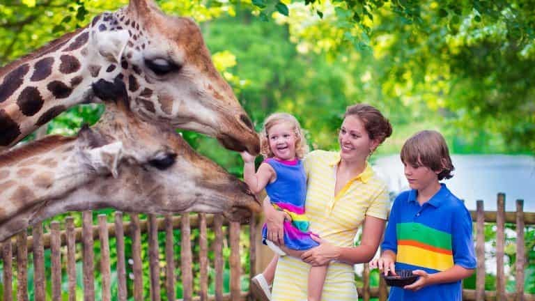 78941_61676b3df0c0e1150e748b39bd0a6b35