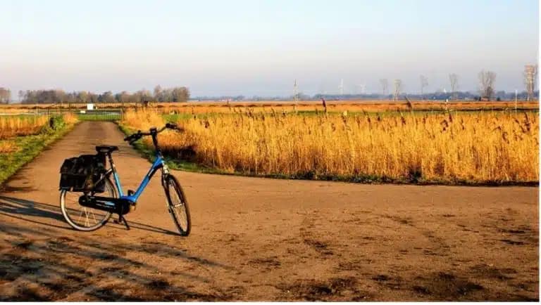 Fietsen in de Bollenstreek