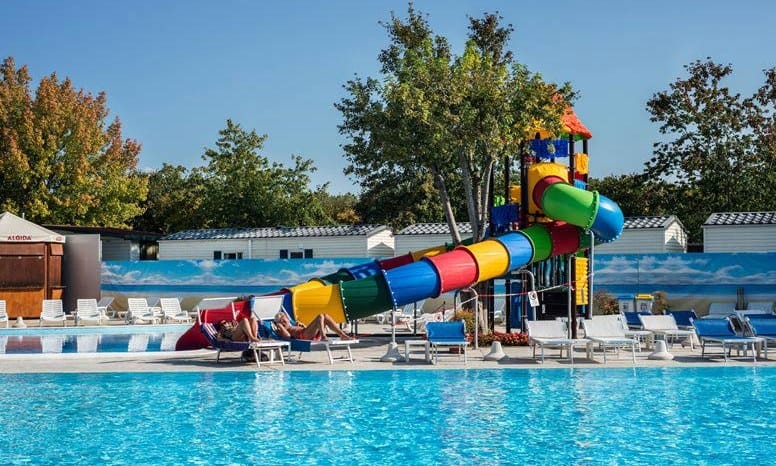 74609c5a36446.original