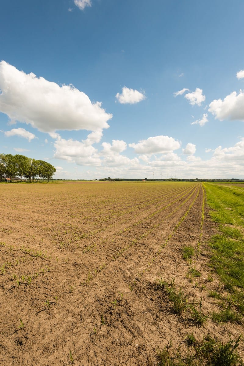 Je bekijkt nu Winst bij verkoop grond belast
