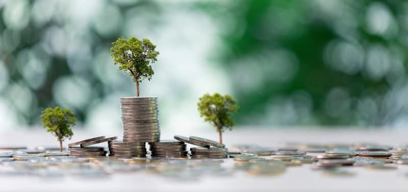 Je bekijkt nu Kabinet dicht belastinglek in box 3 bij obligaties