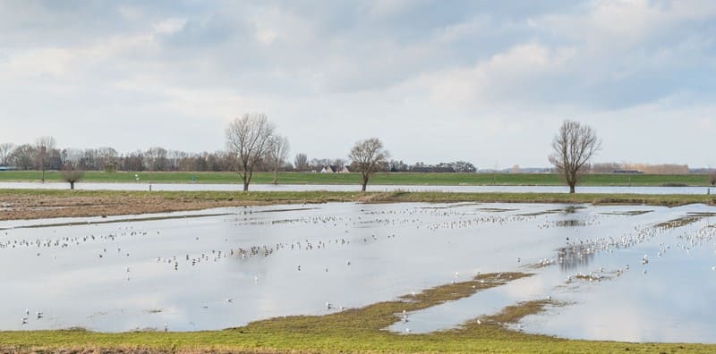 Lees meer over het artikel Subsidieregeling overstromingsschade 2021