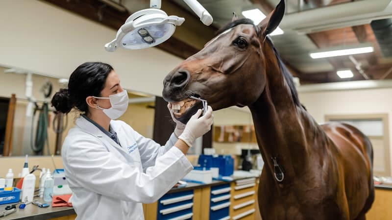 Je bekijkt nu Zonder klanten geen ondernemer