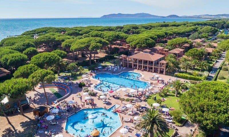 be66ba7783456.original