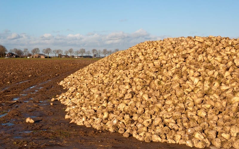 Lees meer over het artikel Aanwijzing bezwaar box 3 2020 als massaal bezwaar
