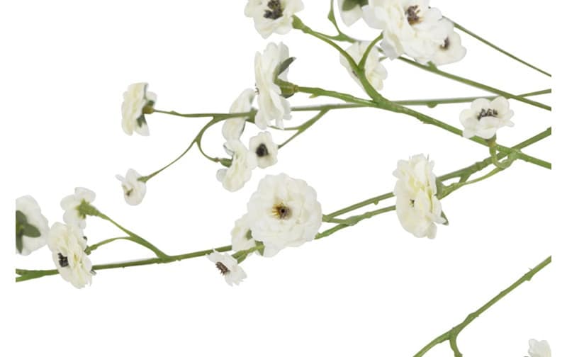 Rosa Diamond wit - Afbeelding 2