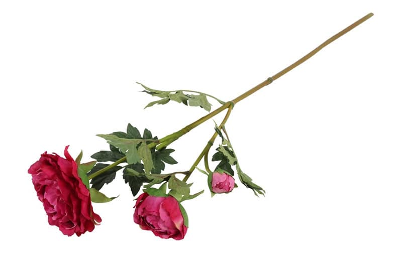 Pioenroos donker roze - Afbeelding 3