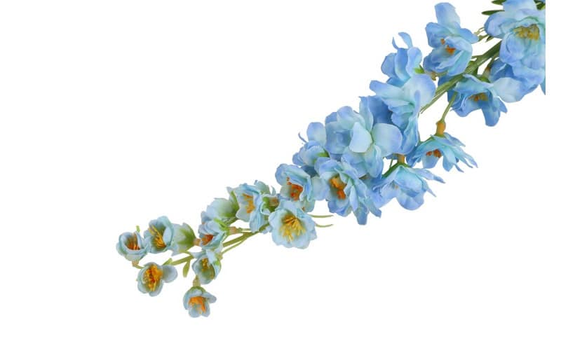Delphinium blauw - Afbeelding 2