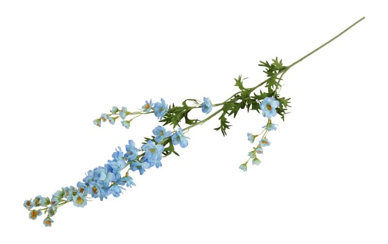 Delphinium blauw - Afbeelding 3