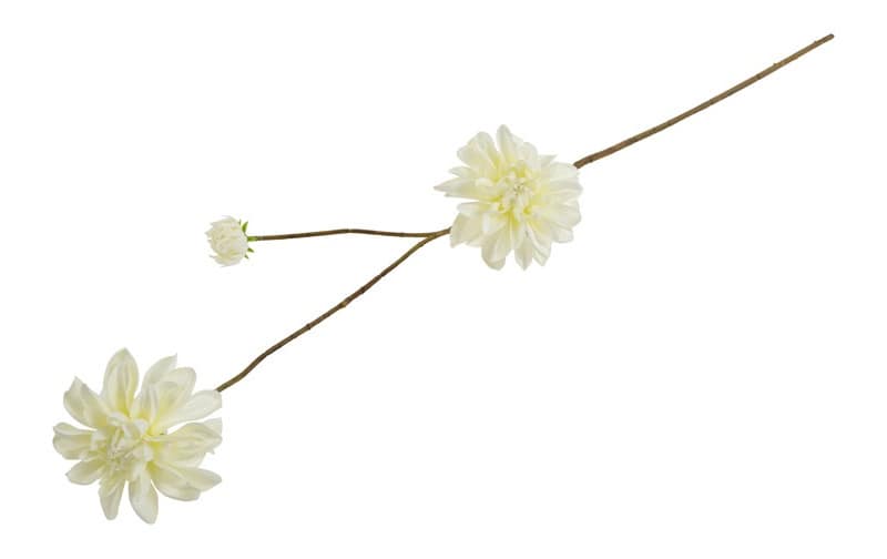 Bloem Dahlia wit - Afbeelding 3