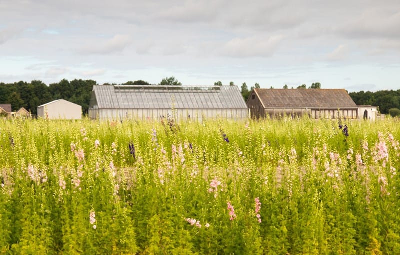 Je bekijkt nu Bestemmingswijziging levert belastbare winst op