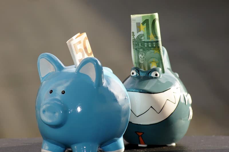 Lees meer over het artikel Doorlenen tegen hogere rente is winstuitdeling