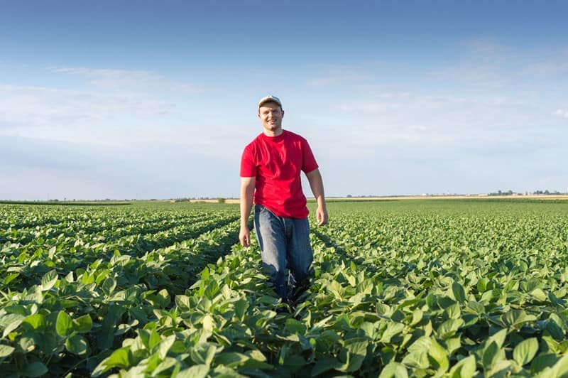 Lees meer over het artikel Landelijke Landbouwnormen 2018