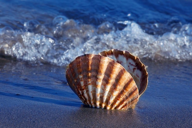 Je bekijkt nu Commissie belastingheffing multinationals