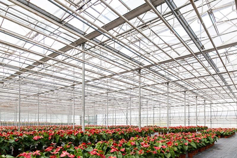 Lees meer over het artikel Fiscale klimaatmaatregelen glastuinbouw