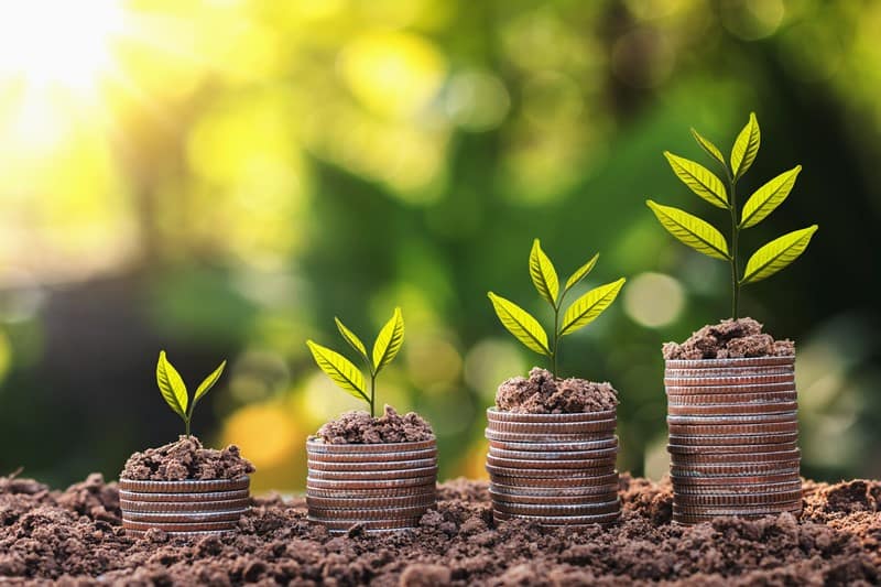 Lees meer over het artikel Milieulijst 2025 vastgesteld