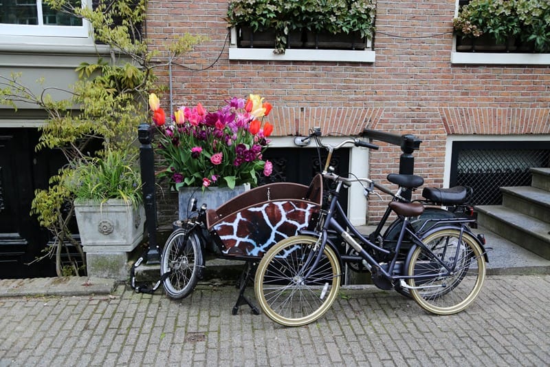 Lees meer over het artikel Verruimingen werkkostenregeling