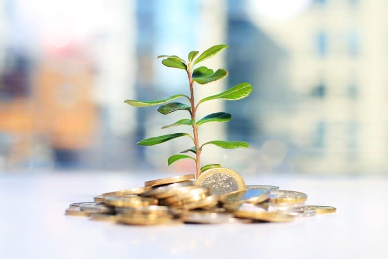 Je bekijkt nu Onderzoek gevolgen beperking vrijstelling groen beleggen per 1 januari 2025