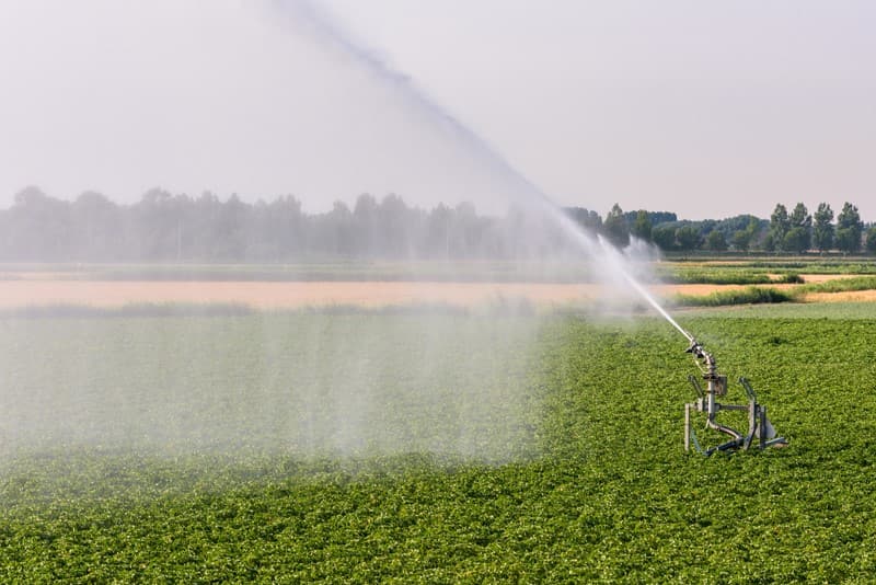Je bekijkt nu Nieuwe pachtnormen per 1 juli 2024