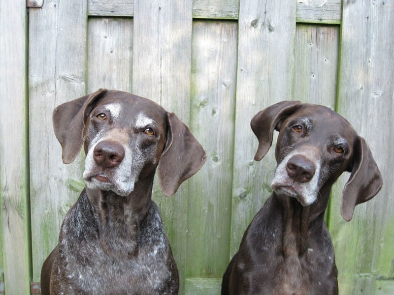 Je bekijkt nu Jachtkosten niet zakelijk