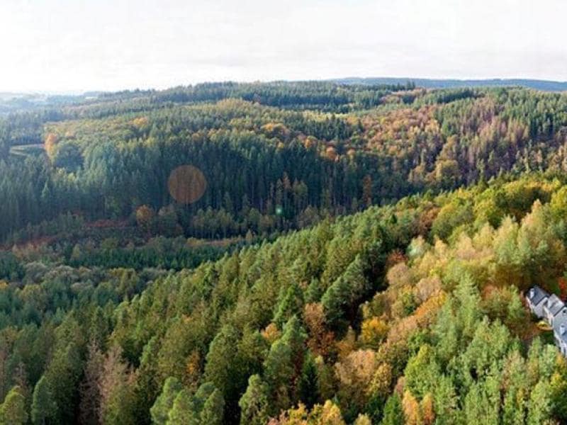 belgie-belgische-ardennen-vielsalm-center-parcs-les-ardennes-ar-367405_1