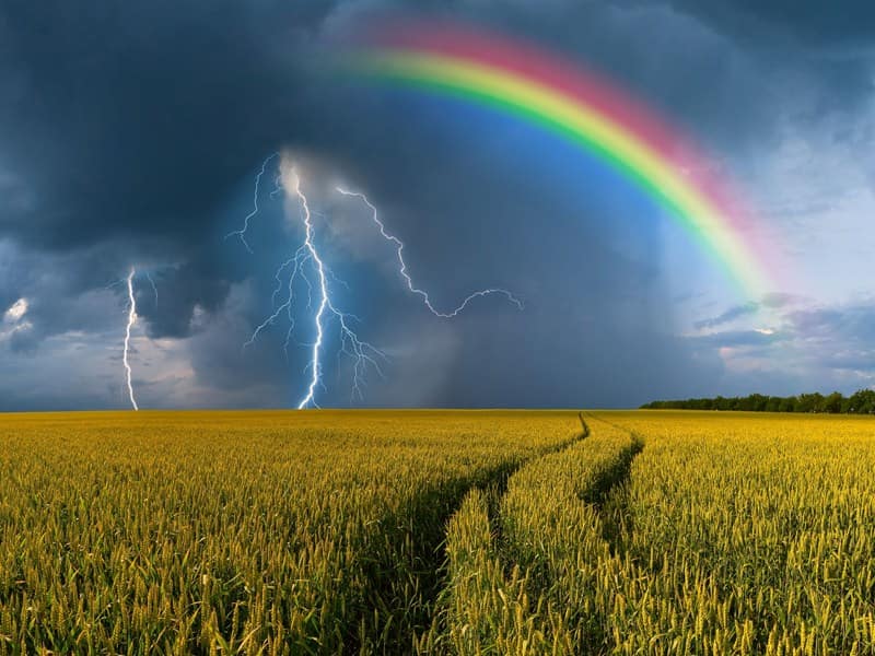 Lees meer over het artikel Onderzoek fiscale klimaat- en calamiteitenreserve land- en tuinbouw