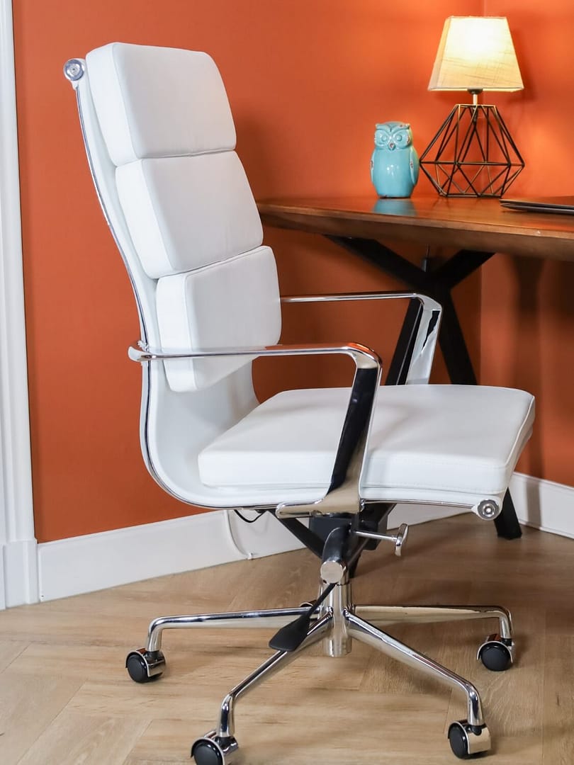 Premium Highback Softpadding Executive Chairs Feel the vibe 3