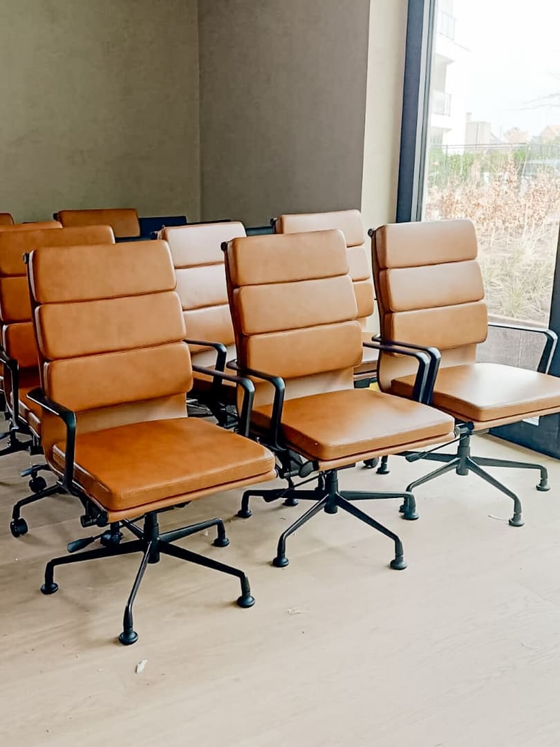 Premium Highback Softpadding Executive Chairs Feel the vibe 5