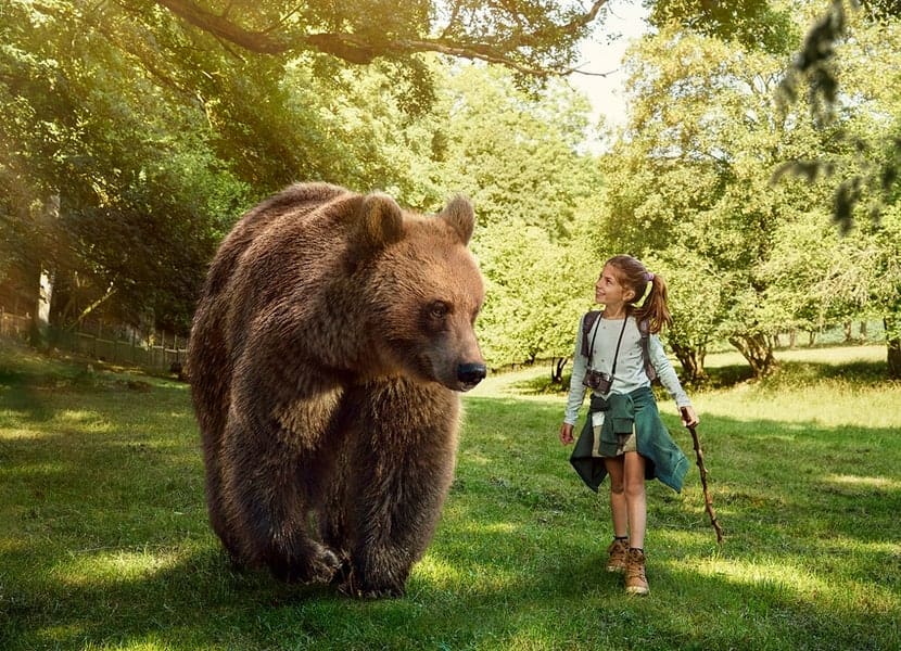 Het prachtige wildpark bij de Grotten van Han