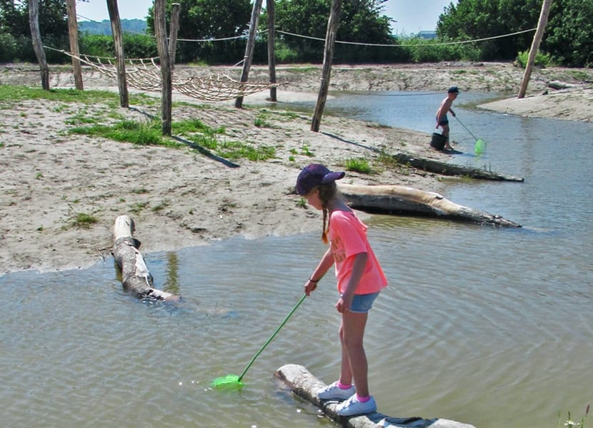 Zeehonden Pieterburen en kinderen